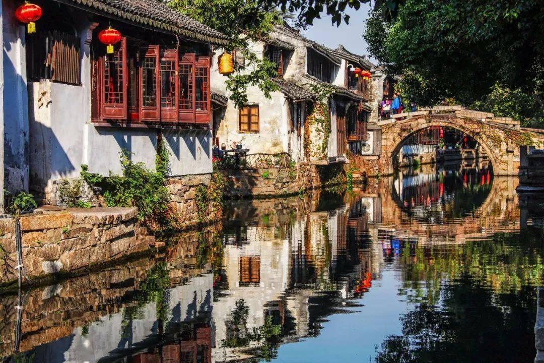 僵尸顶顶乐